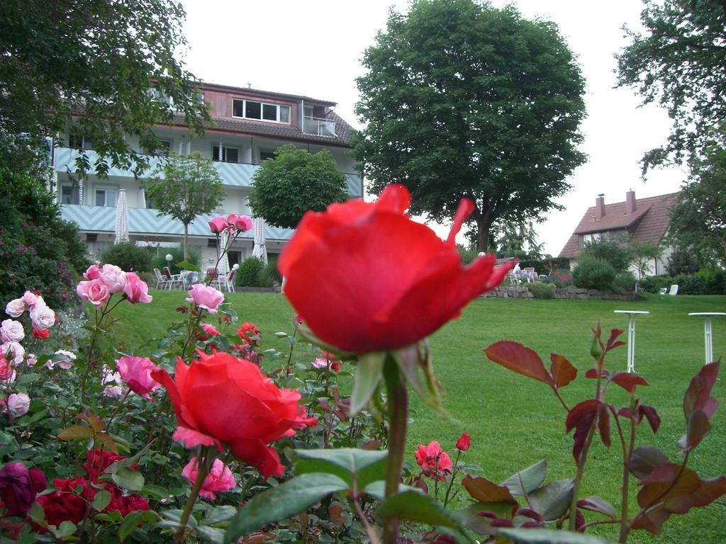 Hotel-Restaurant Schwedi Лангенарген Екстериор снимка